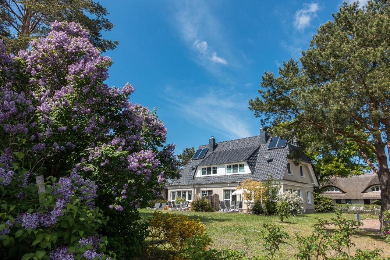 ボルン Premiumhaus Bodden Und Mehr-Briseヴィラ エクステリア 写真