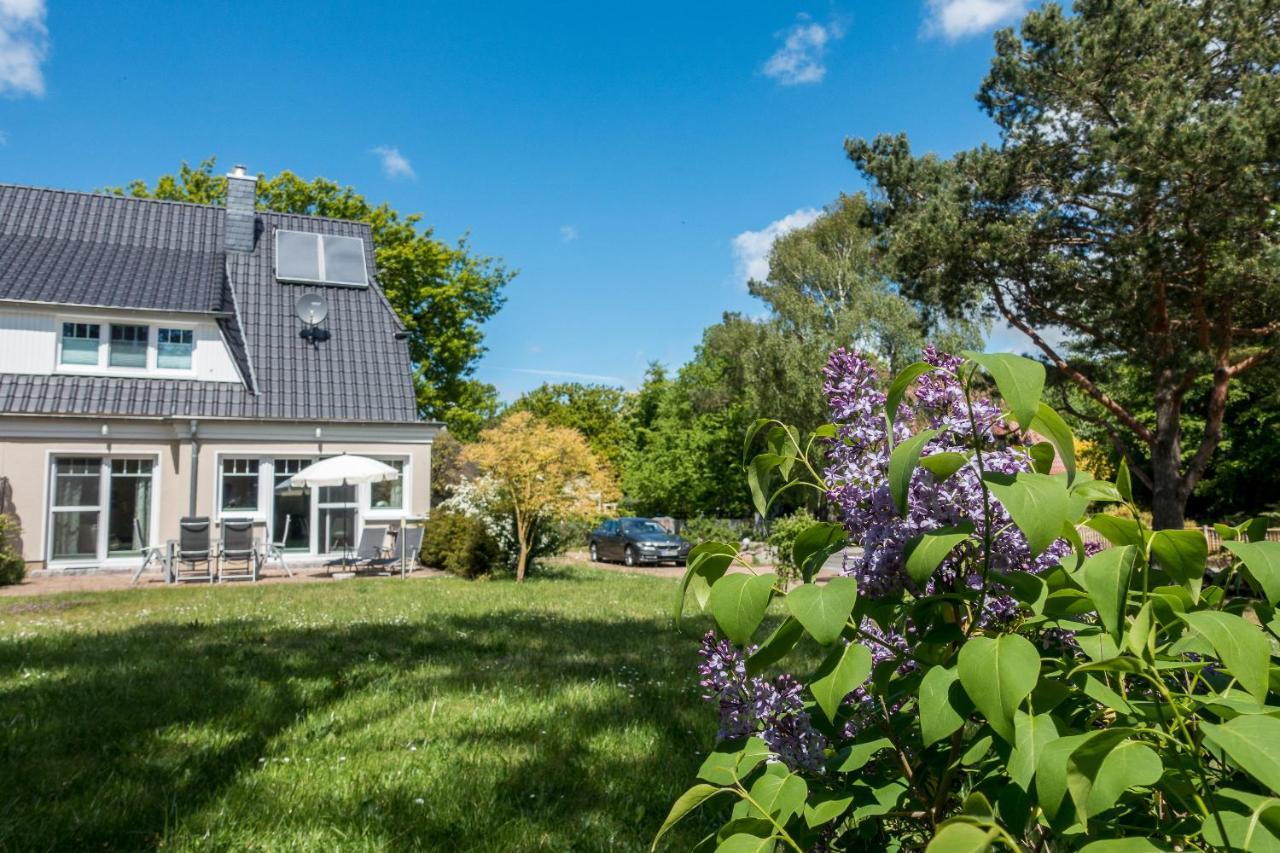 ボルン Premiumhaus Bodden Und Mehr-Briseヴィラ エクステリア 写真