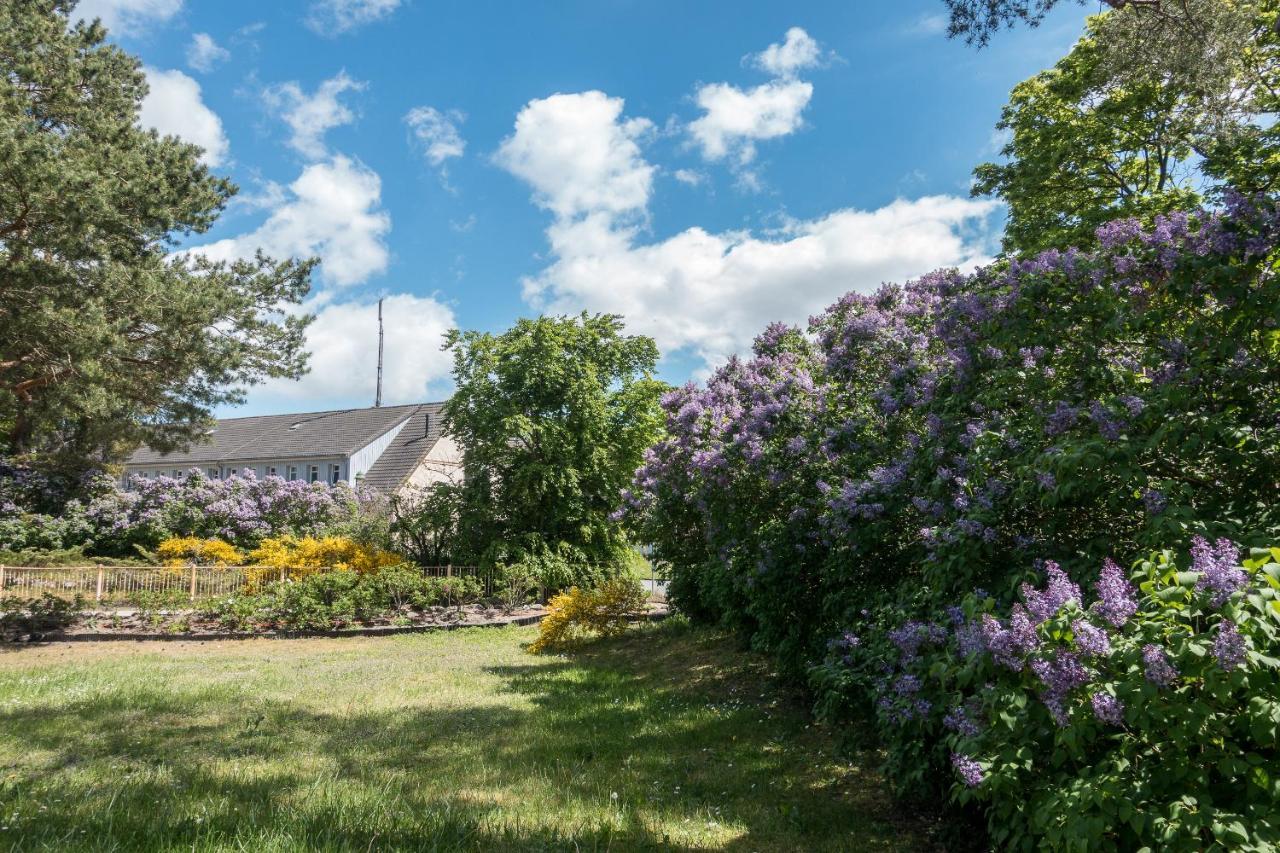 ボルン Premiumhaus Bodden Und Mehr-Briseヴィラ エクステリア 写真