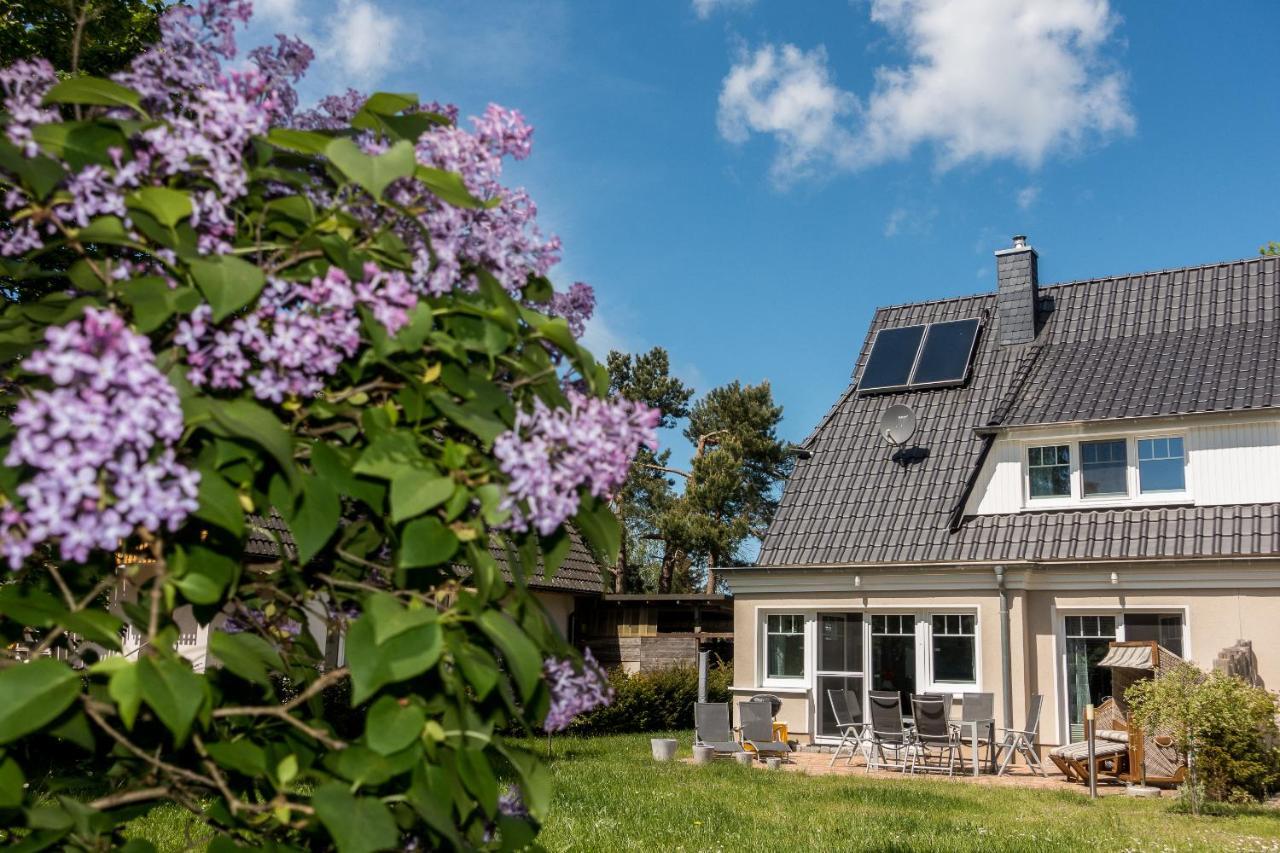 ボルン Premiumhaus Bodden Und Mehr-Briseヴィラ エクステリア 写真