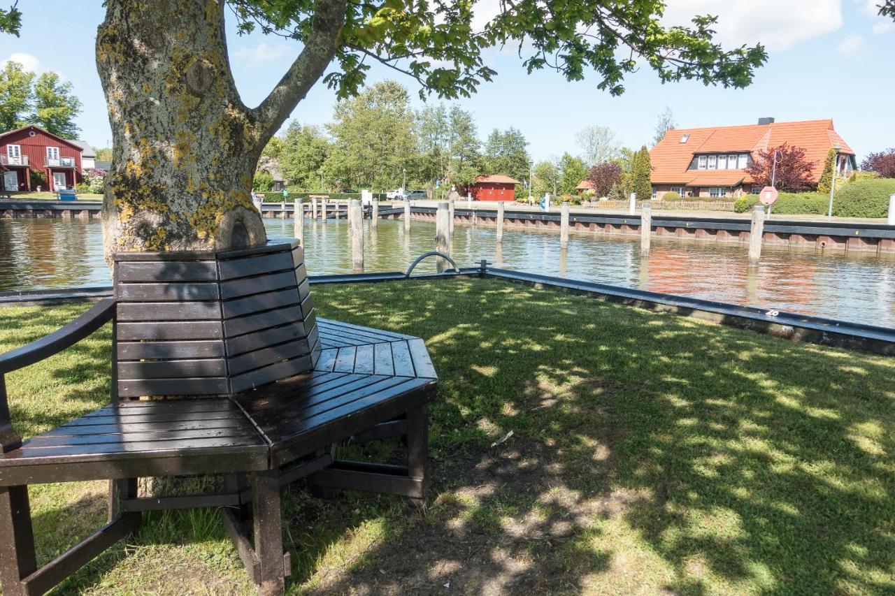 ボルン Premiumhaus Bodden Und Mehr-Briseヴィラ エクステリア 写真